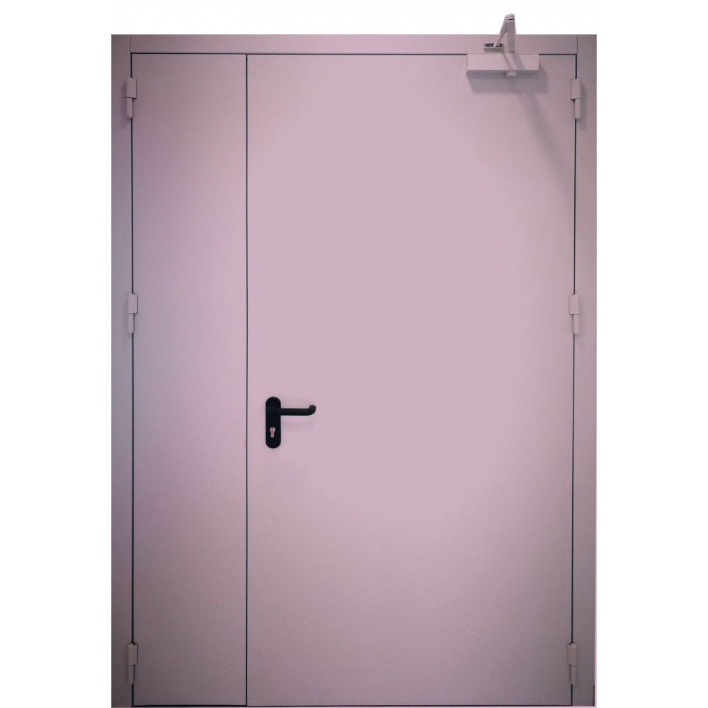 violetinės spalvos metalinės dvivėrės vidaus durys PROTECTUS, vienvėrės ir dvivėrės