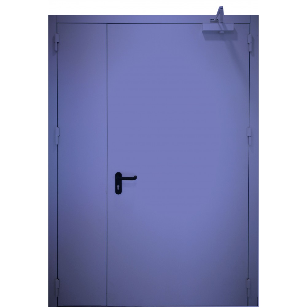 mėlynos spalvos metalinės dvivėrės vidaus durys PROTECTUS, su stiklinimu ir be jo