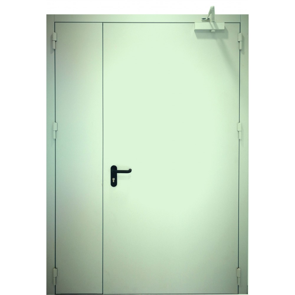 pastelinės žalios spalvos metalinės dvivėrės vidaus durys PROTECTUS, sertifikuotos priešgaisrinės apsaugos ir gelbėjimo departamento