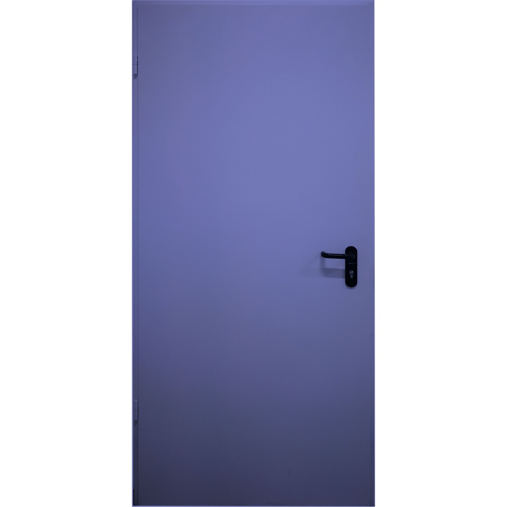 mėlynos spalvos metalinės lauko priešgaisrinės durys PROTECTUS, su stiklinimu ir be jo