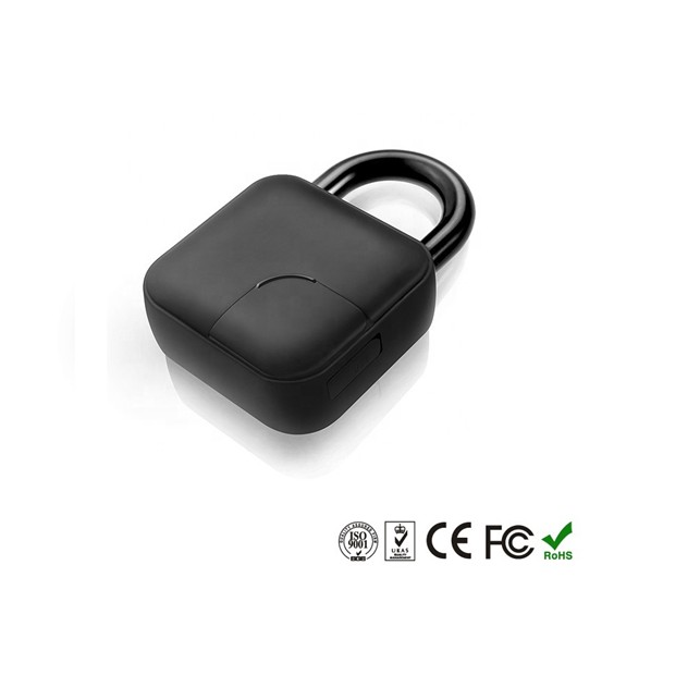 SMART HOME išmani pakabinama spyna