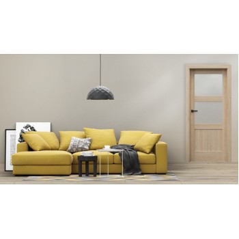 Laminuotos vidaus durys VERTE HOME N.2